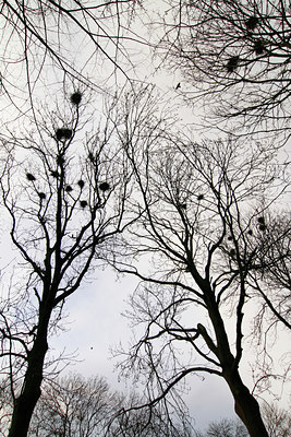 BUITEN BEELD Foto: 87580