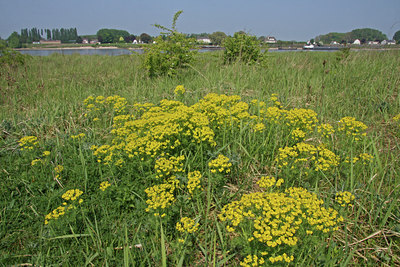 BUITEN BEELD Foto: 87586