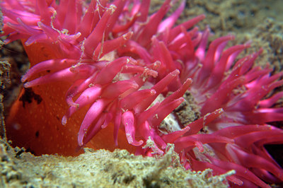 BUITEN BEELD Foto: 87600