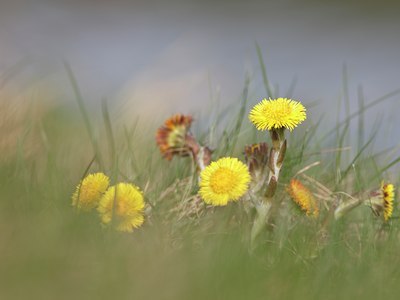 BUITEN BEELD Foto: 87663