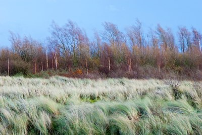 BUITEN BEELD Foto: 87668