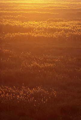 BUITEN BEELD Foto: 87671