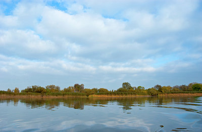 BUITEN BEELD Foto: 87672