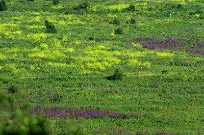 BUITEN BEELD Foto: 87674