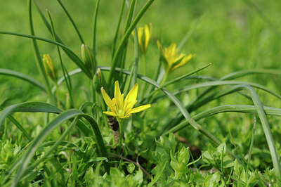BUITEN BEELD Foto: 87771
