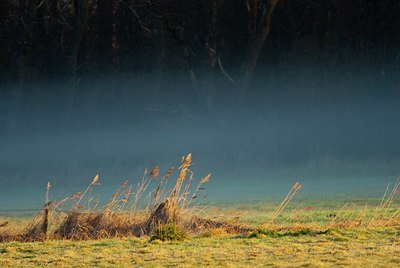 BUITEN BEELD Foto: 87845