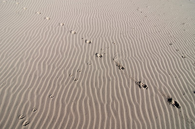 BUITEN BEELD Foto: 87876