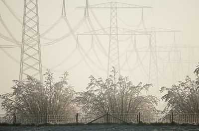 BUITEN BEELD Foto: 87878