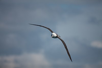 BUITEN BEELD Foto: 87973