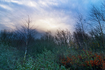 BUITEN BEELD Foto: 88098