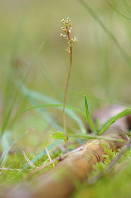 BUITEN BEELD Foto: 88109
