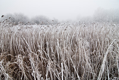 BUITEN BEELD Foto: 88141
