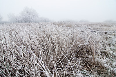 BUITEN BEELD Foto: 88143