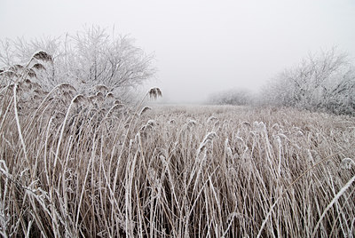 BUITEN BEELD Foto: 88144