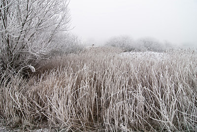 BUITEN BEELD Foto: 88148