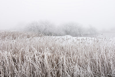 BUITEN BEELD Foto: 88149