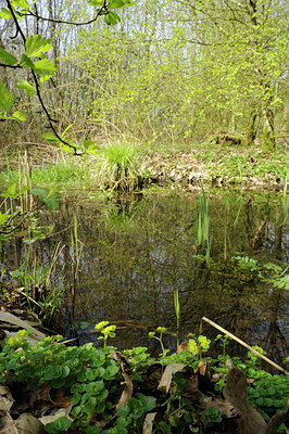 BUITEN BEELD Foto: 88157