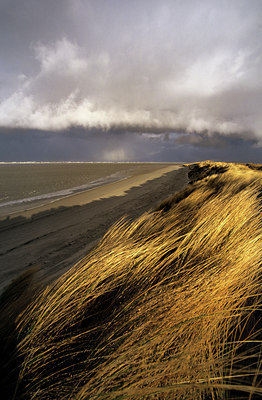 BUITEN BEELD Foto: 88231