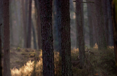 BUITEN BEELD Foto: 88234