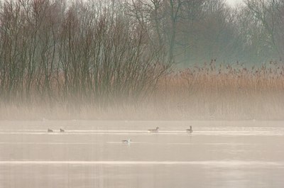 BUITEN BEELD Foto: 88238