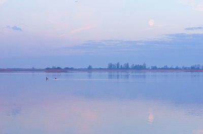 BUITEN BEELD Foto: 88241