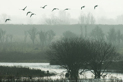 BUITEN BEELD Foto: 88243