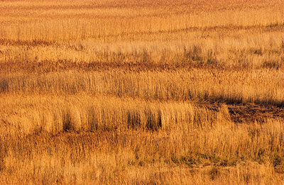 BUITEN BEELD Foto: 88244