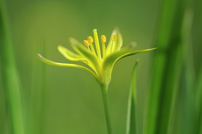 BUITEN BEELD Foto: 88276