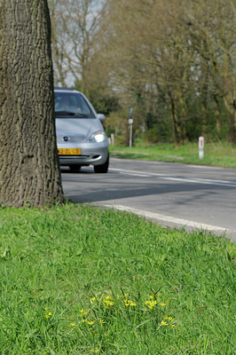 BUITEN BEELD Foto: 88277