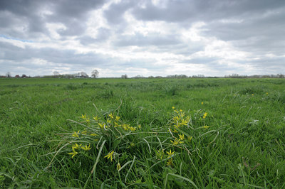 BUITEN BEELD Foto: 88431