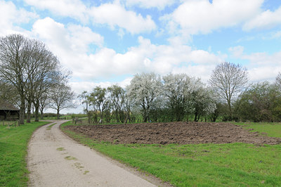 BUITEN BEELD Foto: 88442