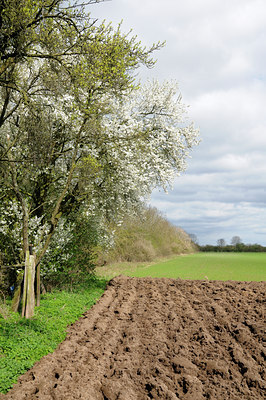 BUITEN BEELD Foto: 88443