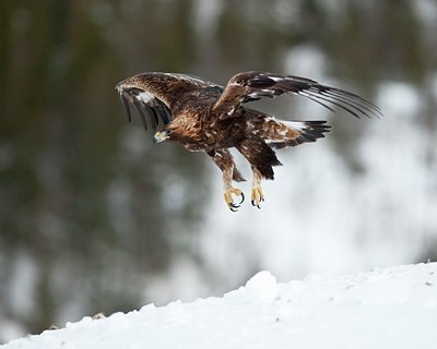 BUITEN BEELD Foto: 88493