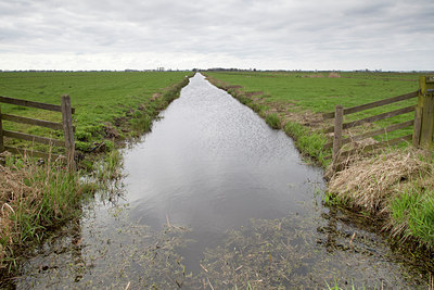 BUITEN BEELD Foto: 88511