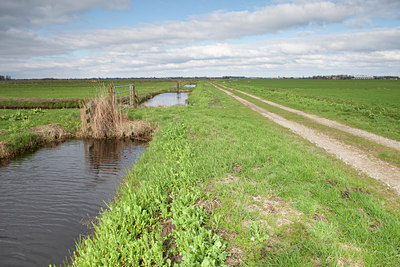 BUITEN BEELD Foto: 88514