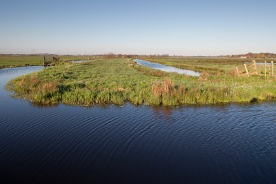 BUITEN BEELD Foto: 88515