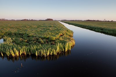 BUITEN BEELD Foto: 88517