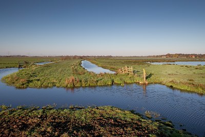 BUITEN BEELD Foto: 88519