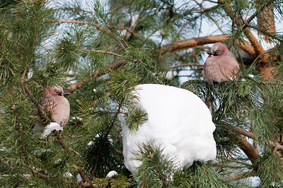 BUITEN BEELD Foto: 88530