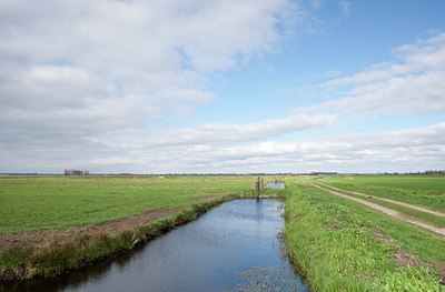 BUITEN BEELD Foto: 88535