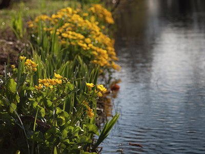 BUITEN BEELD Foto: 88539