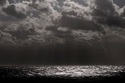BUITEN BEELD Foto: 88562