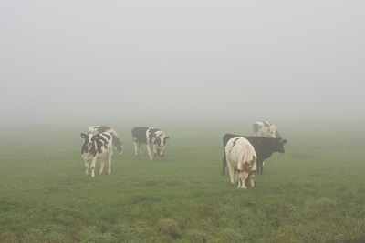 BUITEN BEELD Foto: 88604