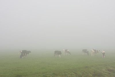 BUITEN BEELD Foto: 88605