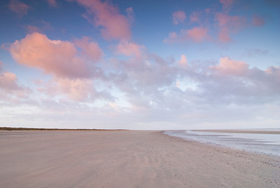 BUITEN BEELD Foto: 88648