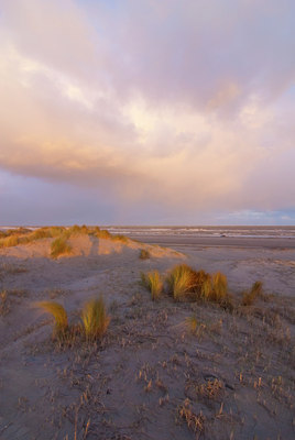 BUITEN BEELD Foto: 88653