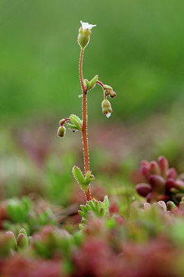 BUITEN BEELD Foto: 88658