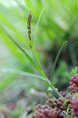 BUITEN BEELD Foto: 88659