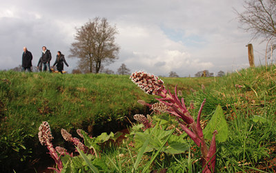 BUITEN BEELD Foto: 88680