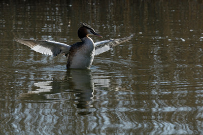 BUITEN BEELD Foto: 88727